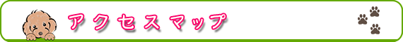 ANZX}bv