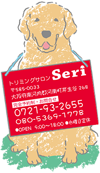 g~OTSeriւ̂⍇