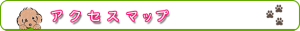 ANZX}bv